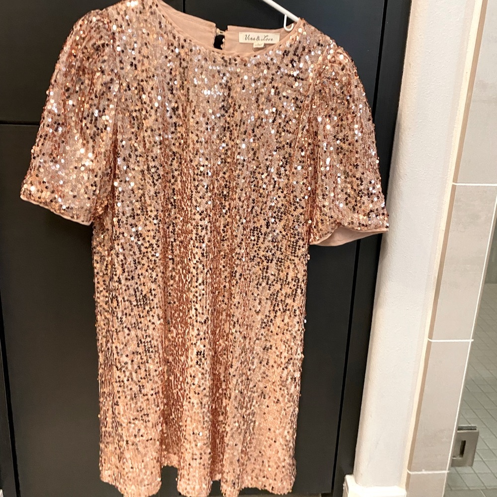 Blush sequin dress